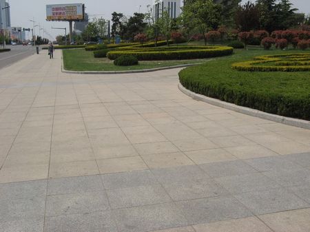 五蓮花地面廣場板